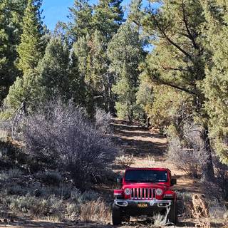 Off-Roading in Big Bear, Ca