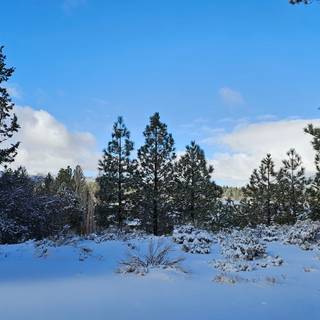 Snow at Big Bear