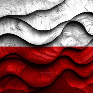 Flag Of Poland