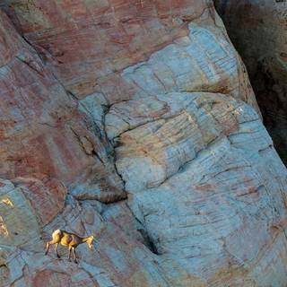 Gateway Arch in St. Louis, Missouri, United States