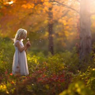  Dandilion wishes