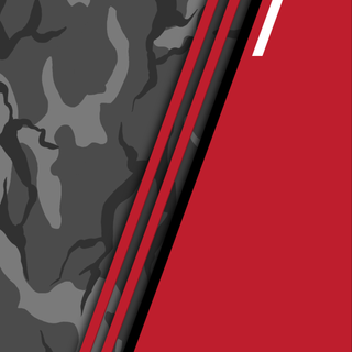 Camouflage Vector 