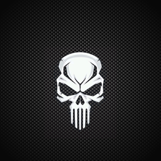 Punisher 