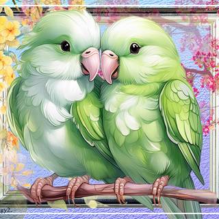 LOVE BIRDS