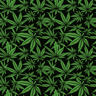 420 Pattern 