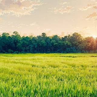 Illustration HD wallpaper