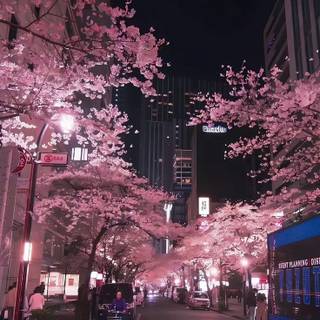 私とミノの初デート ❤