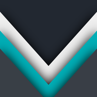 The Vi Minimlist Phone