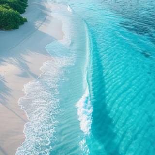 Tropical Escape