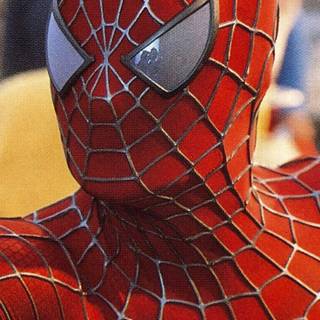 Spider Man 4K Wallpaper 