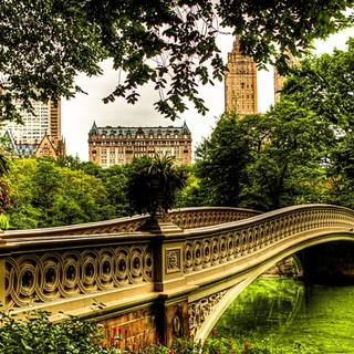 Bridge in Central Park, New York (USA)