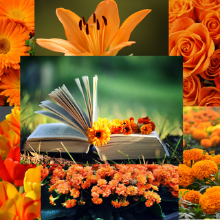 Aesthetic Orange Spring Wallpaper