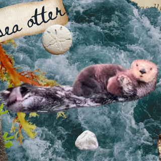 For Sea Otter Therians