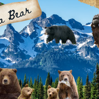 For all the Bear Therians