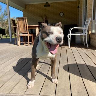 We let him go to a new family 2 years ago now