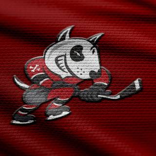 Niagara IceDogs