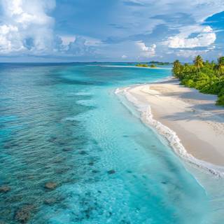 Tropical Bliss