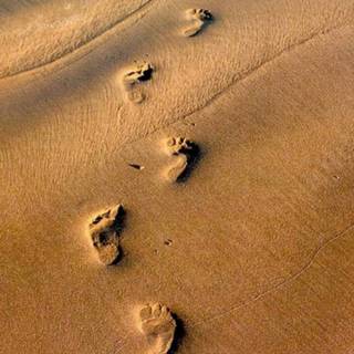 I actually saw this... Really! 