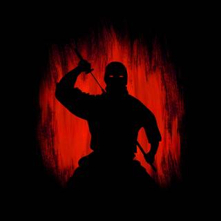 Enter the Ninja