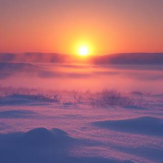 Arctic Dawn
