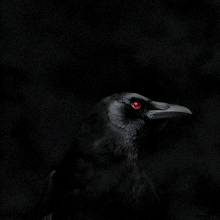 Crow