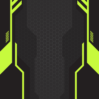 Vector 