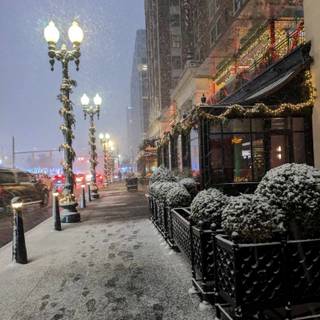 Looking for more staff  employees will work with me and treat people 