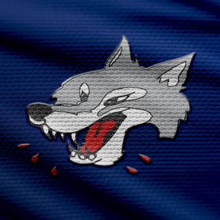Sudbury Wolves