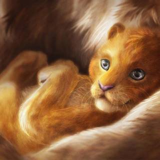 Baby Animal