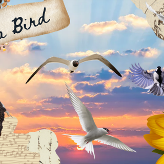 For all the Bird Therians