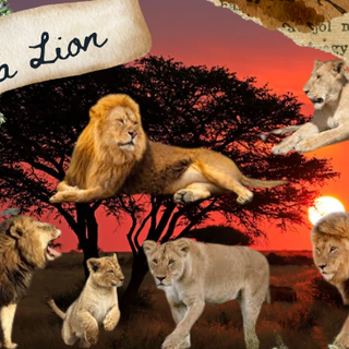 For all the Lion Therians