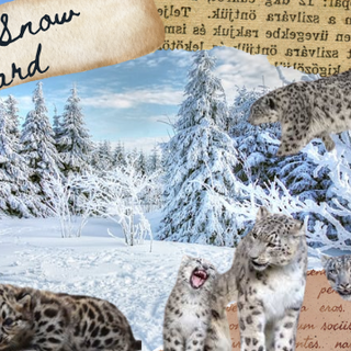 For all the Snow Leopard Therians