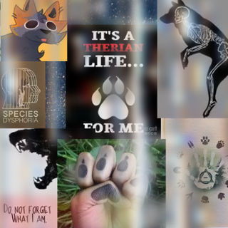 For all Therians (None of these are mine, all credit to the og artists)