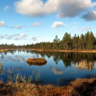 Descoperind natura estona