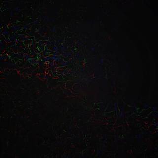 RGB Abstract 