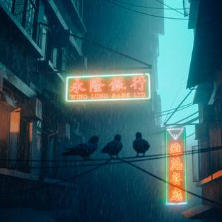 Chinatown 