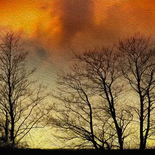 Trees by Manufan63