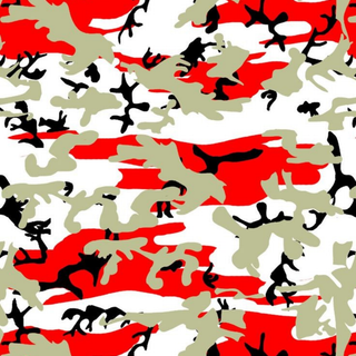 Camouflage 