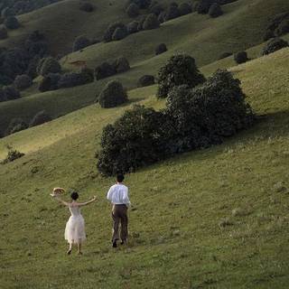 ･ ⟢ ⋮ grass scenery banner/header/wallpaper ゛༝.