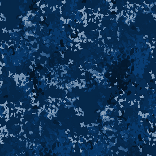 Blue Camo