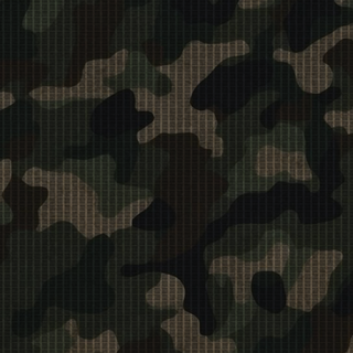 Camouflage Pattern 
