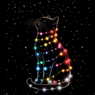 Christmas Space Cat