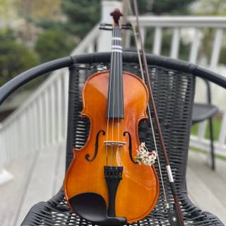 Violin photoshoot!! (On my deck)