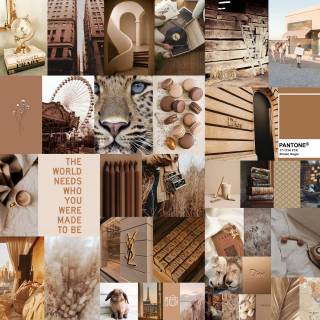 Brown Collage