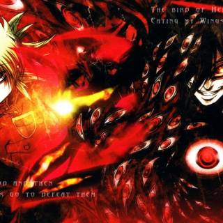 Hellsing Wallpapers