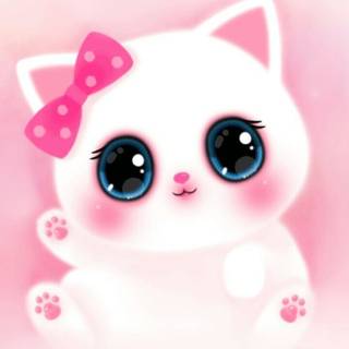 Pink Cute Cat Wallpapers