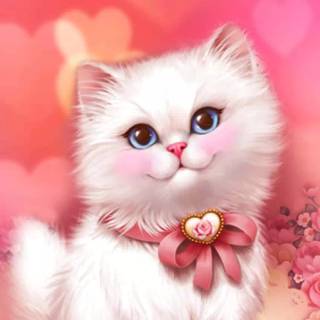 Pink Cute Cat Wallpapers