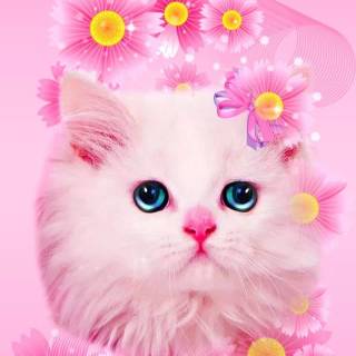 Pink Cute Cat Wallpapers
