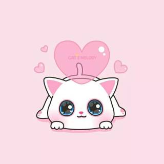 Pink Cute Cat Wallpapers