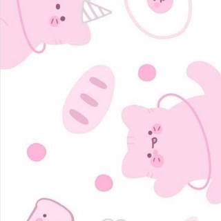 Cute Pink Cats Wallpapers